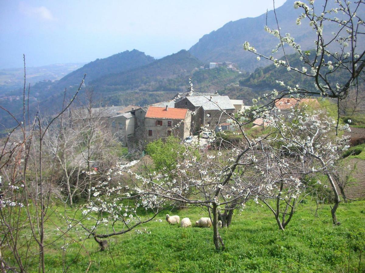 شقة Sole E Ventu 30Qm San-Giovanni-di-Moriani المظهر الخارجي الصورة