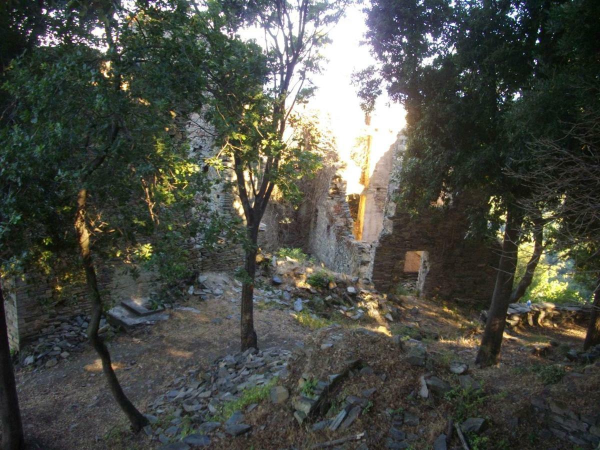 شقة Sole E Ventu 30Qm San-Giovanni-di-Moriani المظهر الخارجي الصورة